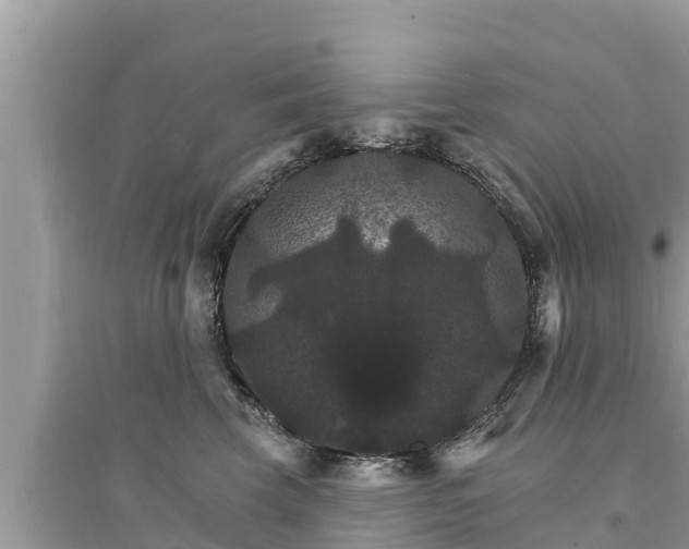 X0000095550569200712211412