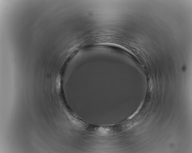 X0000095550570200712211412