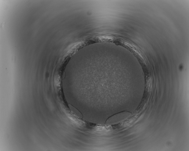 X0000095550571200712211412