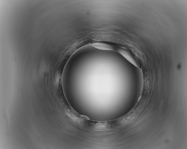 X0000095550574200712211412