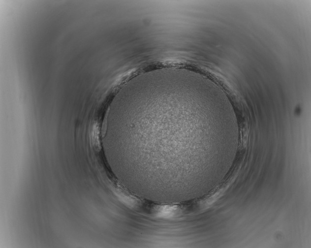 X0000095550575200712211412