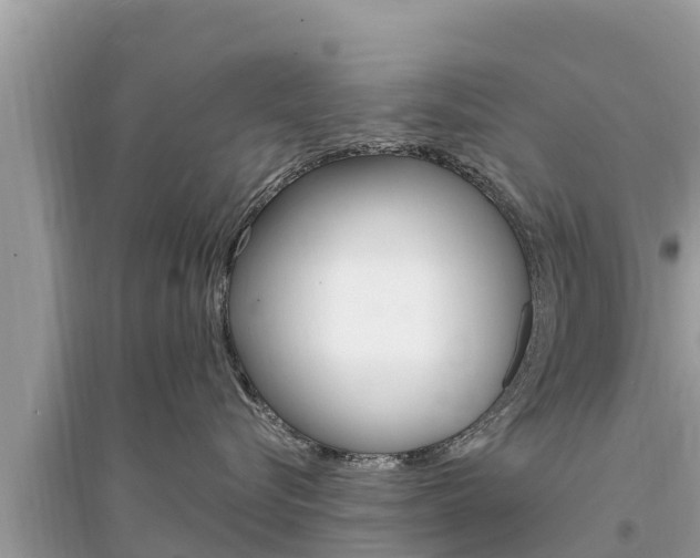 X0000095550576200712211412