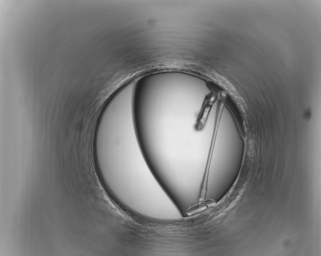 X0000095550577200712211411