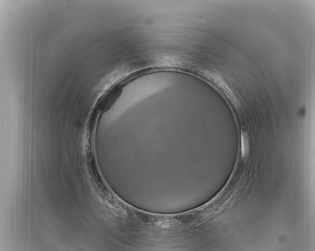 X0000095550579200712211411