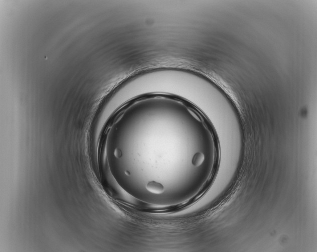 X0000095550581200712211411