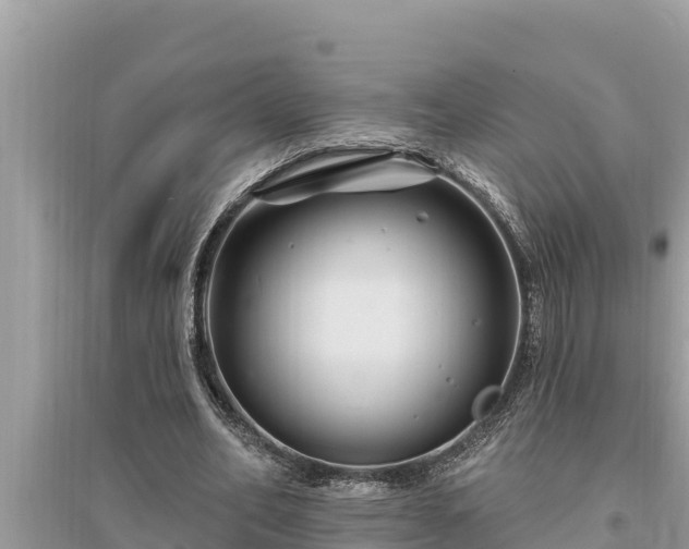 X0000095550582200712211411