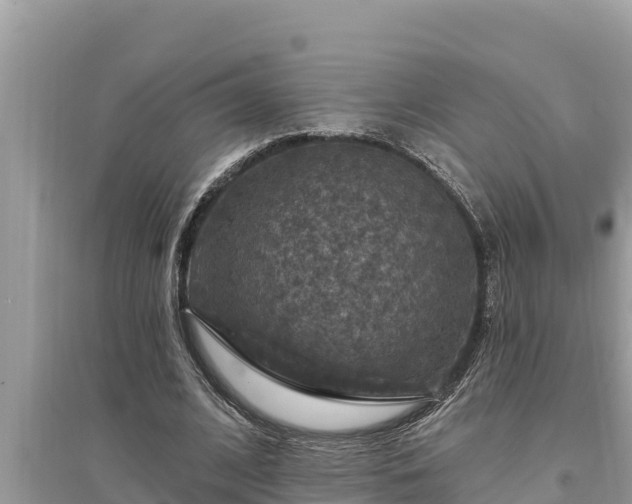 X0000095550584200712211411