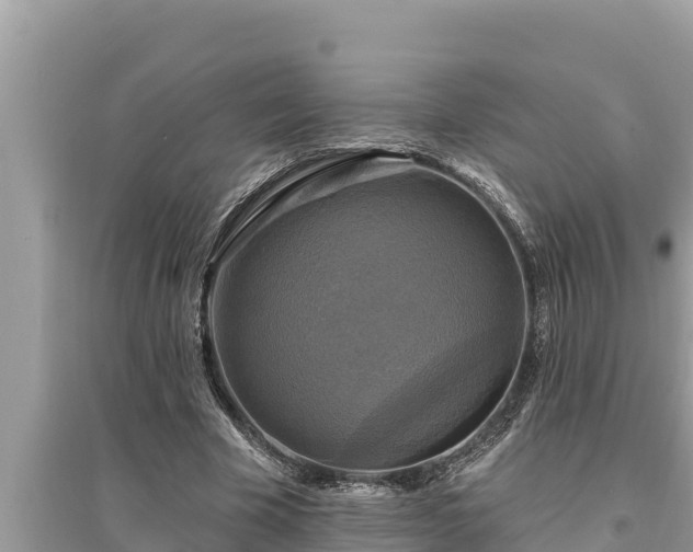 X0000095550585200712211411