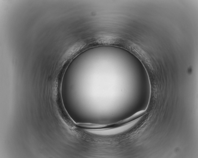 X0000095550586200712211411