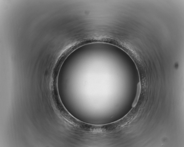 X0000095550587200712211411