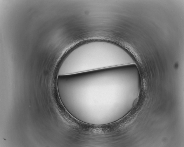 X0000095550588200712211411