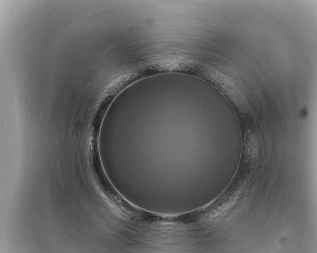 X0000095550590200712211411