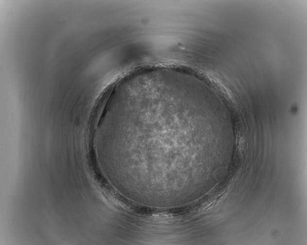 X0000095550591200712211411