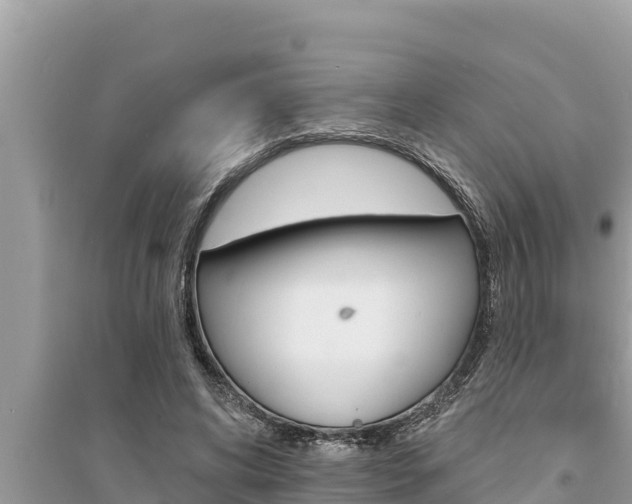 X0000095550592200712211411