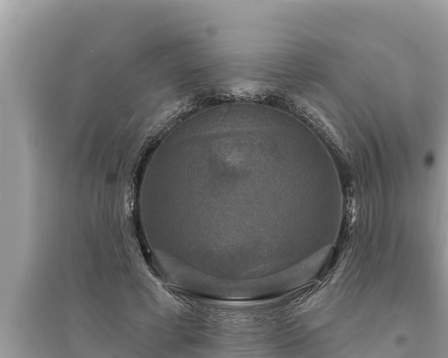 X0000095550593200712211411