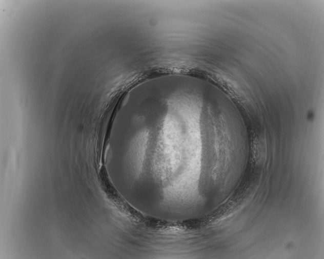 X0000095550594200712211411