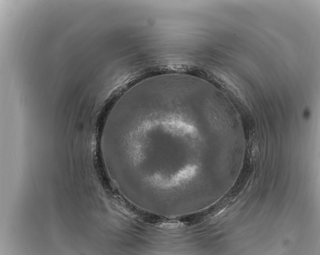 X0000095550595200712211411