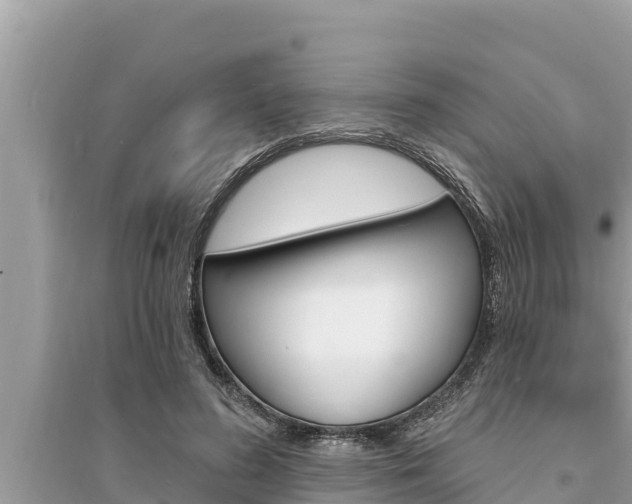 X0000095550596200712211411