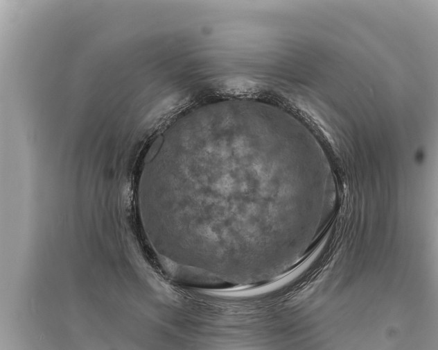 X0000095550597200712211411