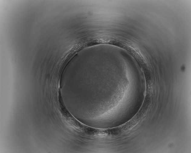 X0000095550598200712211411