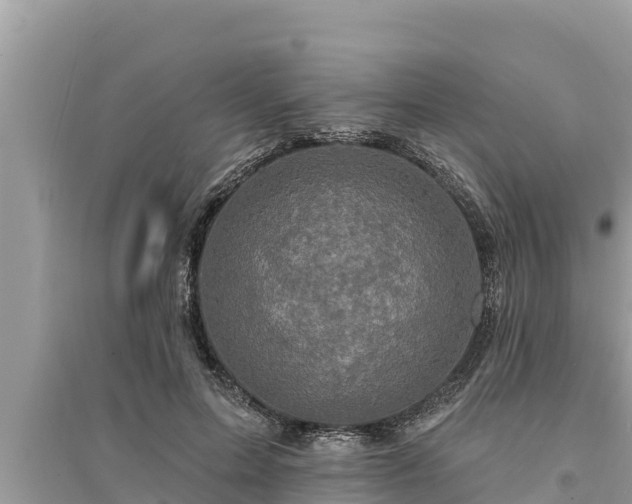 X0000095550599200712211411