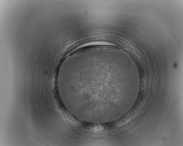 X0000095550600200712211411