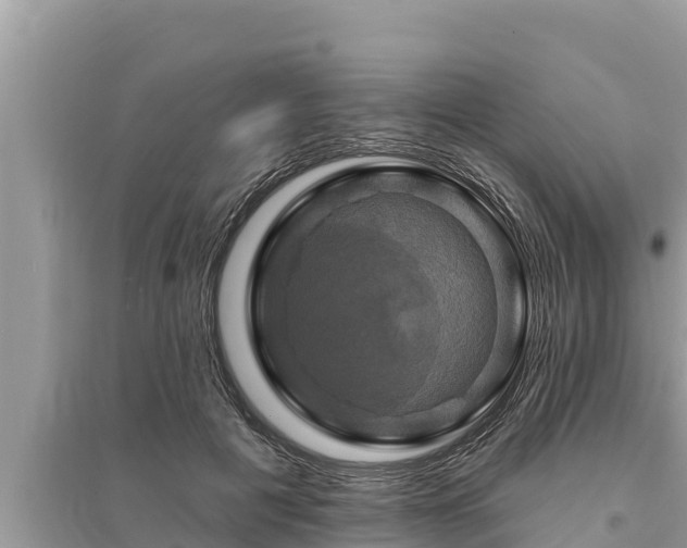 X0000095550601200712211411