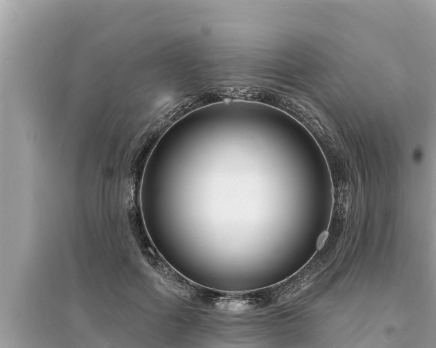 X0000095550602200712211411