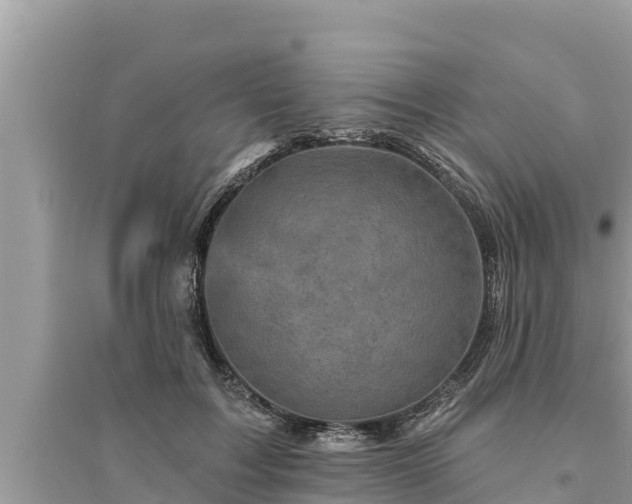 X0000095550603200712211411