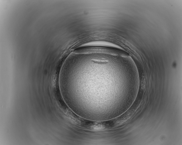 X0000095550604200712211411