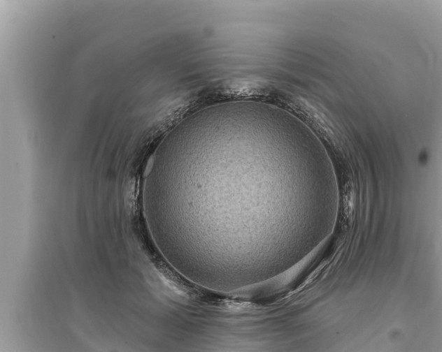 X0000095550605200712211411