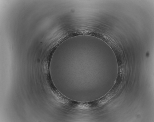 X0000095550606200712211411