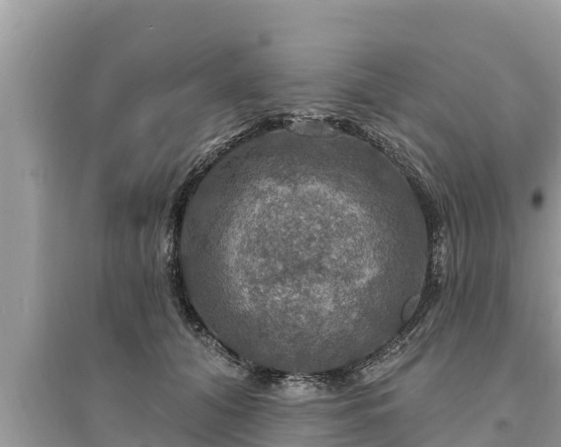 X0000095550608200712211411