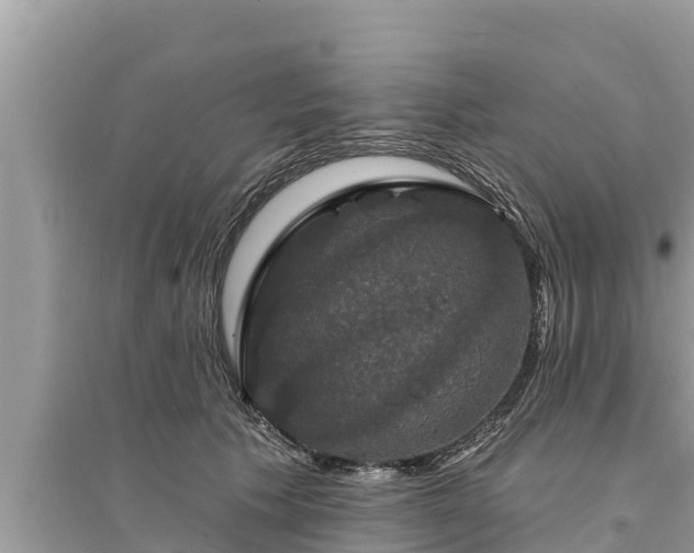 X0000095550609200712211411