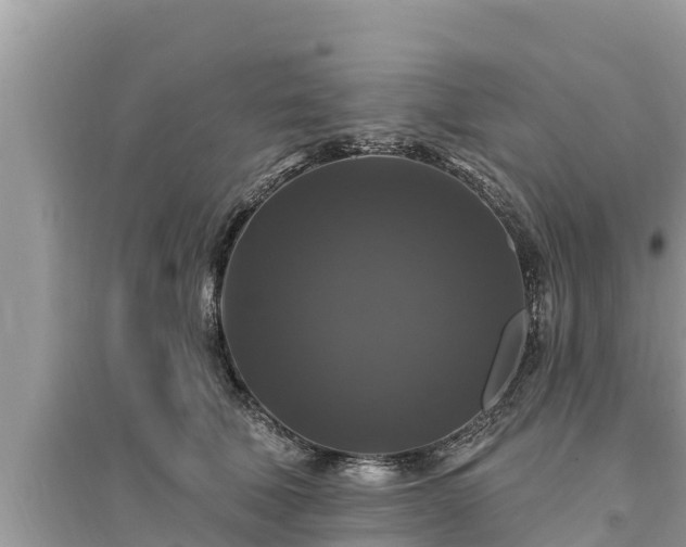 X0000095550610200712211411