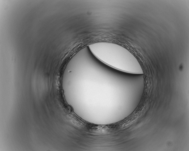 X0000095550612200712211411