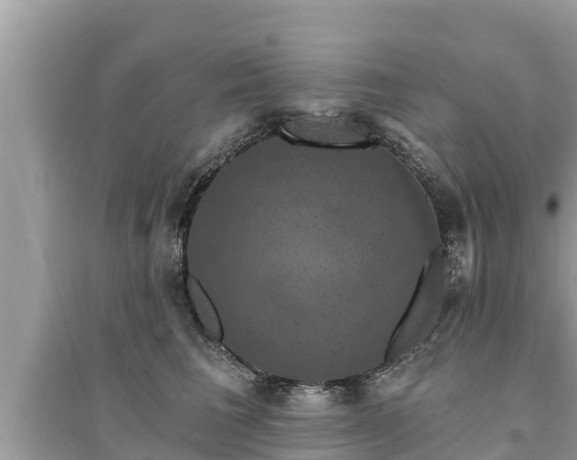 X0000095550613200712211411