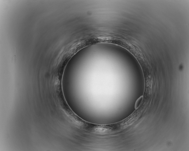 X0000095550614200712211411