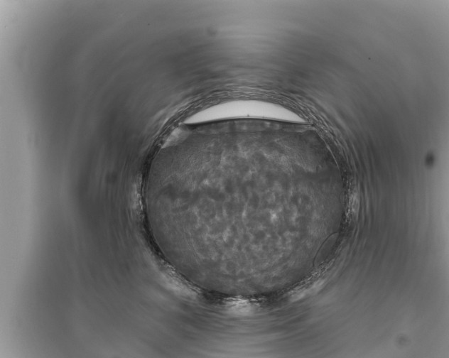 X0000095550616200712211411