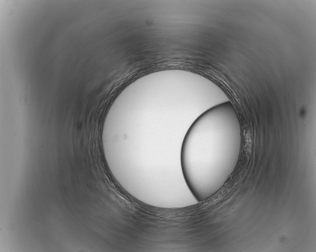 X0000095550617200712211411