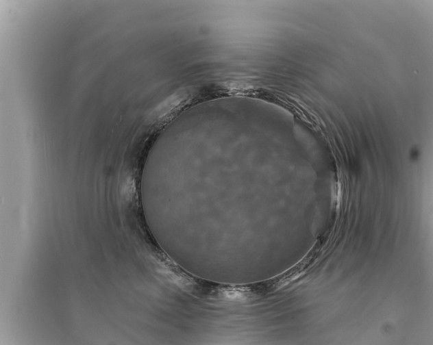 X0000095550618200712211411