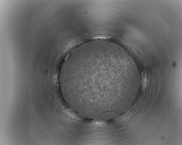 X0000095550619200712211411