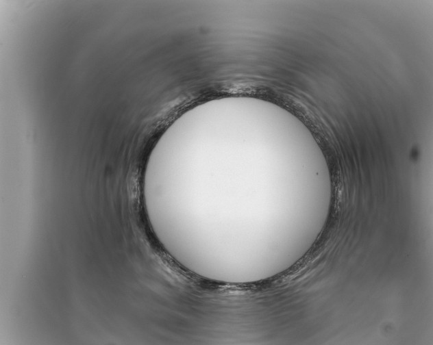 X0000095550620200712211411