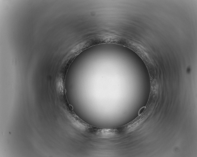 X0000095550622200712211411