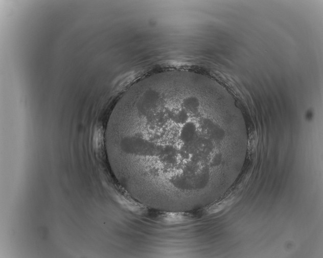 X0000095550623200712211411