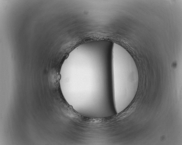 X0000095550624200712211411