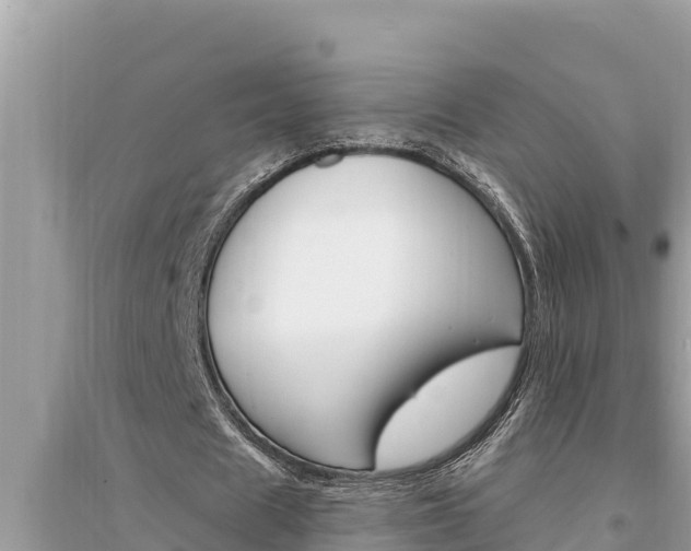 X0000095550625200712211410