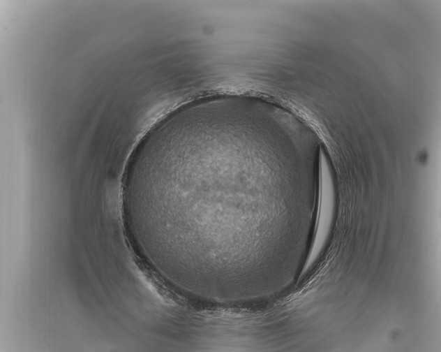 X0000095550626200712211410