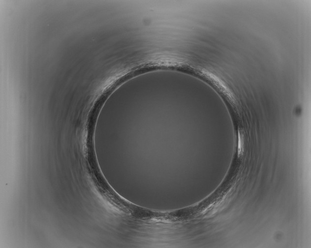 X0000095550627200712211410