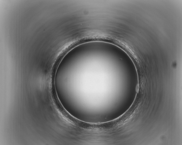 X0000095550629200712211410